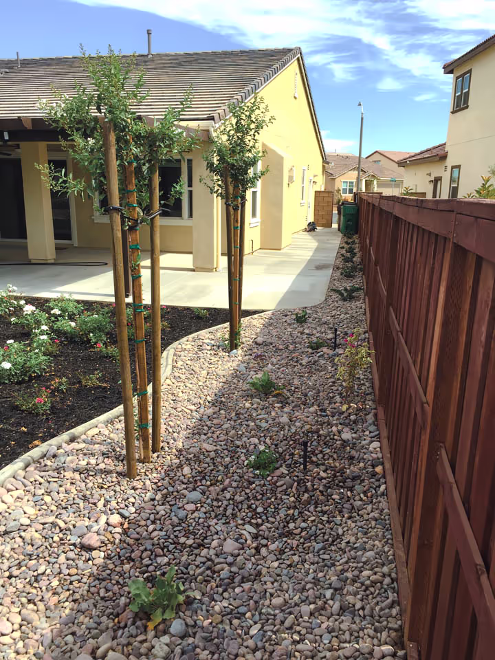 Residential Concrete Flatwork Back Yard Renovation — photo 4
